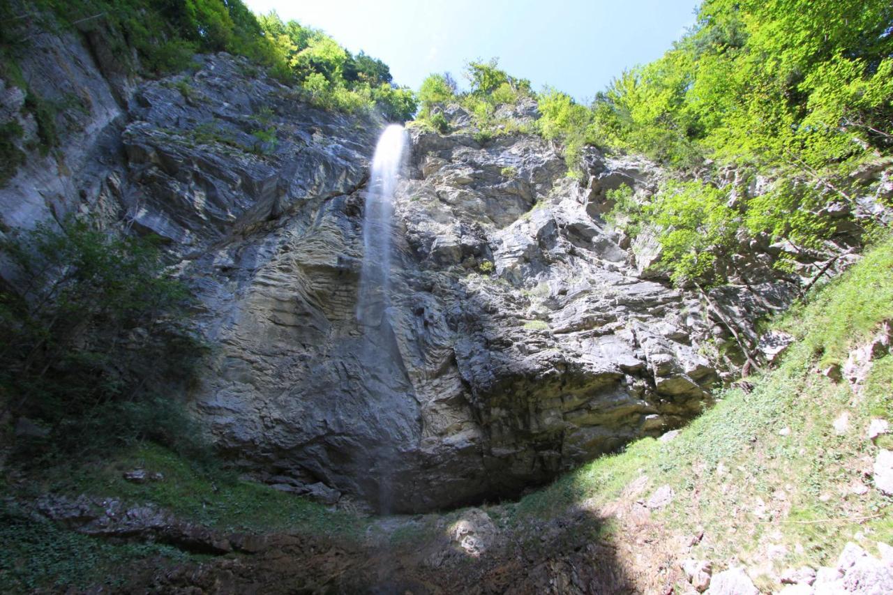Ferienwohnungen Haus Waldwinkel Ашау-ім-Кімгау Екстер'єр фото
